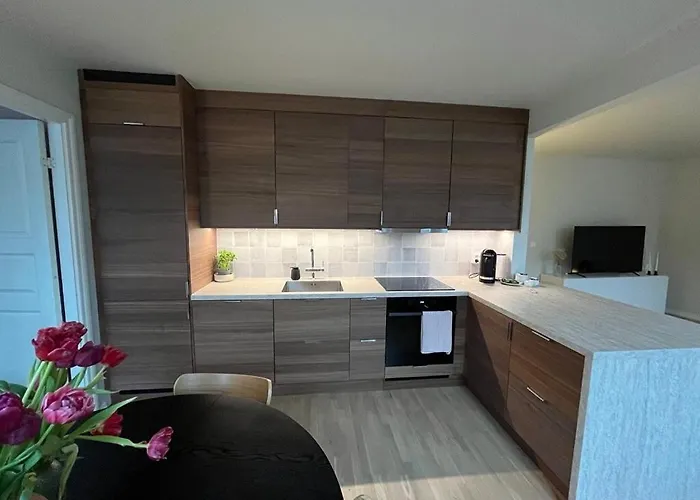 Centrally In A Charming And Peaceful Neighborhood דירה ברגן